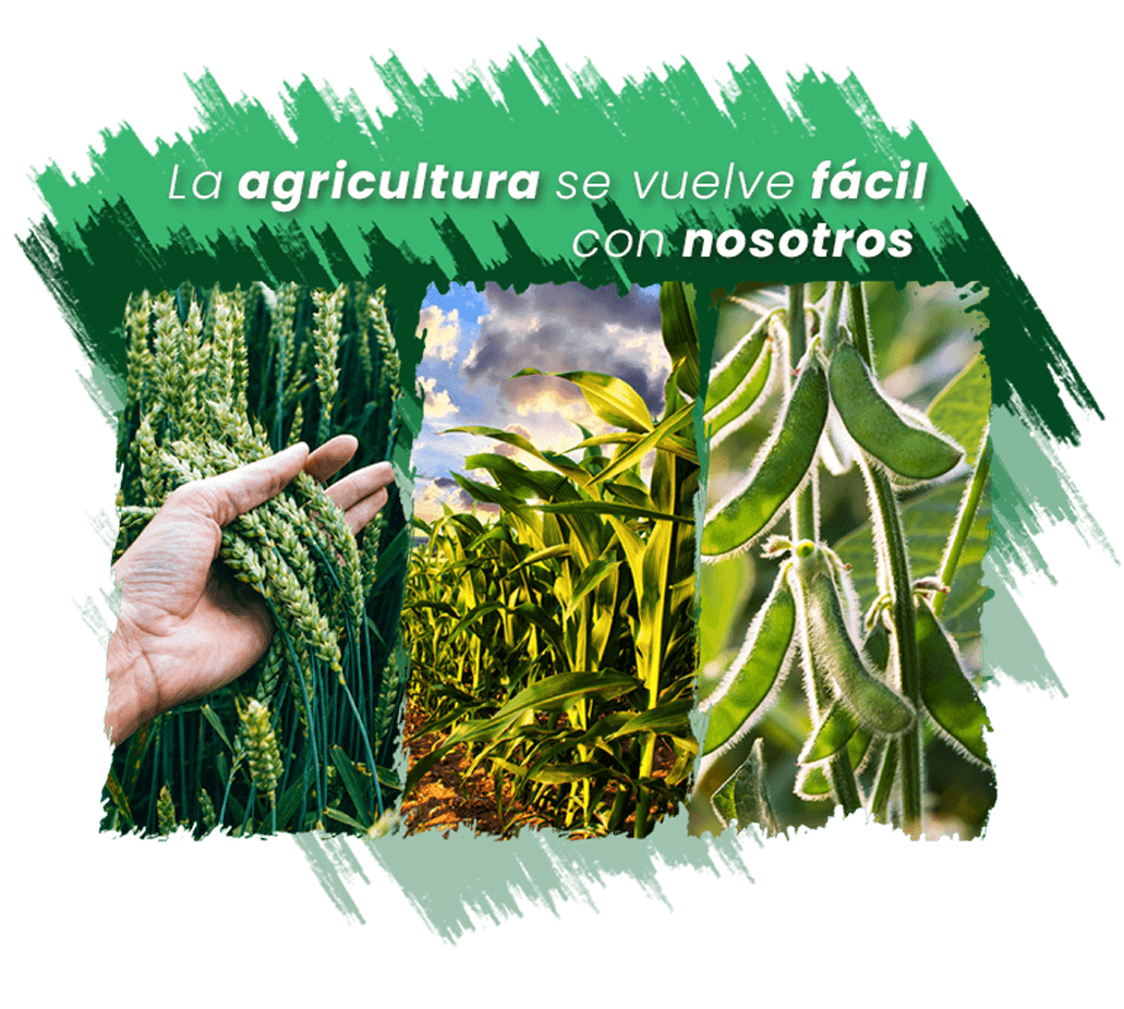 Productos Sustentables