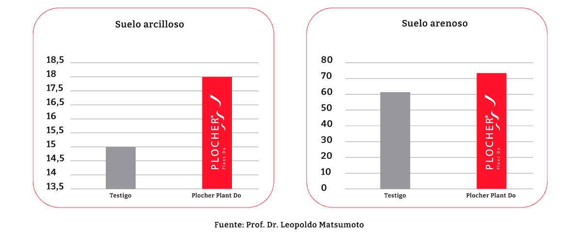 Resultados de micorrización con Plocher Plants Do