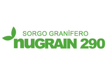 NUGRAIN 290 AP