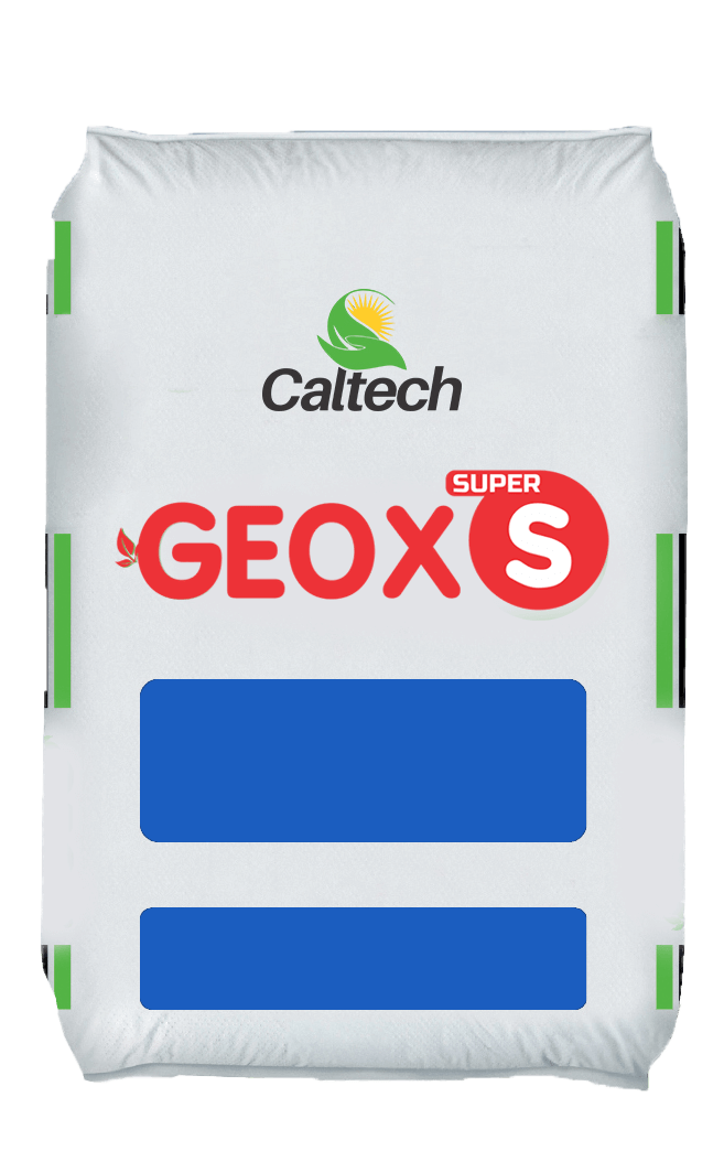 GEOX C