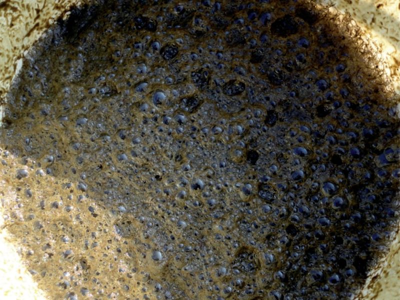 Desechos orgánicos antes del tratamiento con Plocher Humus Liquid